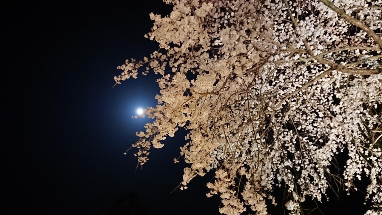 宿坊觉林坊日式旅馆 身延 外观 照片